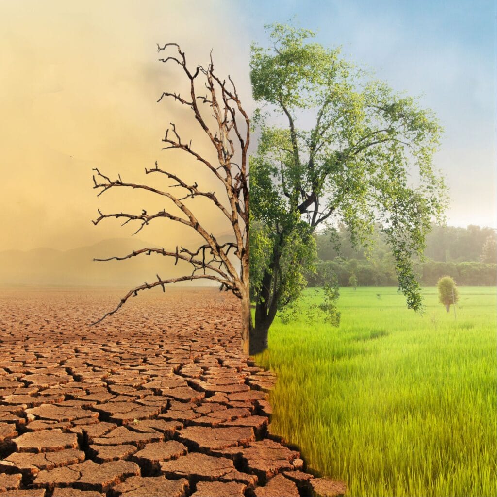 Implications for ASEAN’s Transition to Clean Energy