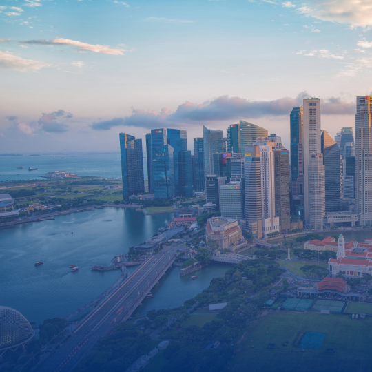 The Business Times: Singapore’s resilience and ‘unnatural resourcefulness’ amid global shocks