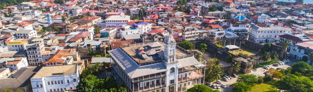 SIIA Chairman Simon Tay on Singapore’s Growing Engagement with Africa