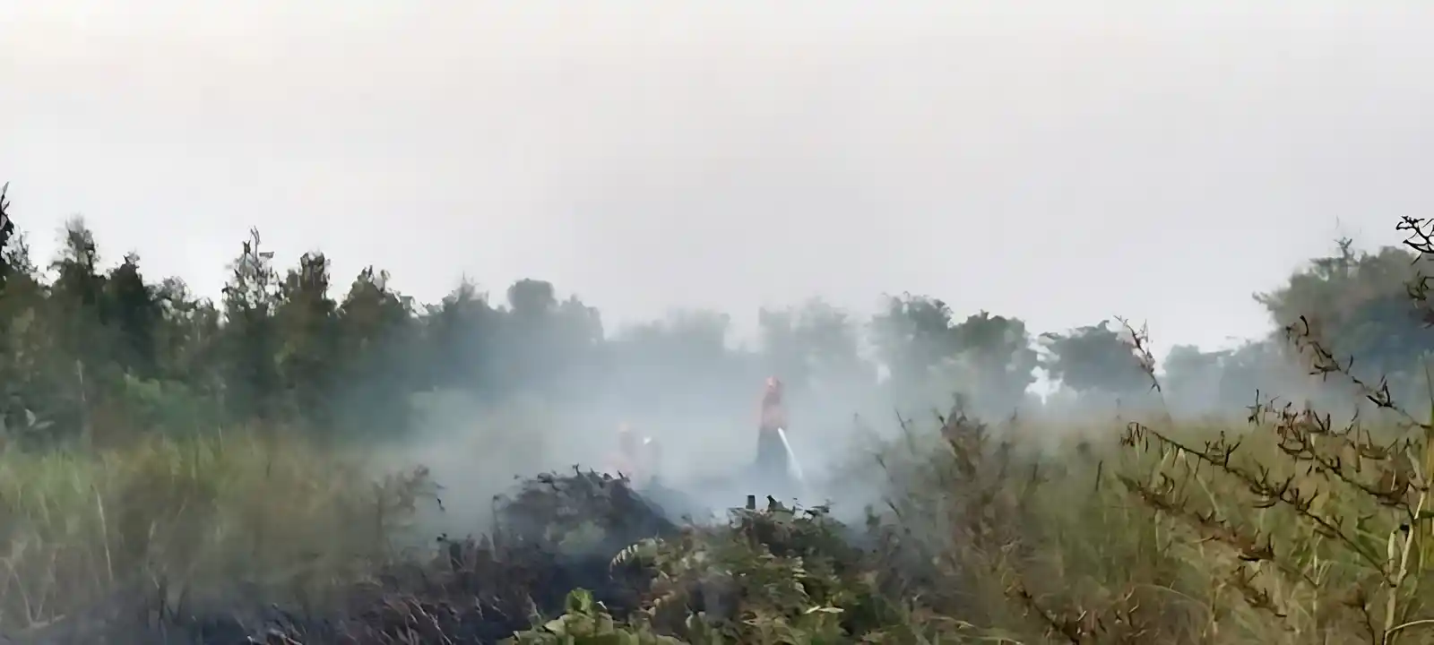 [Bernama] Southern ASEAN Haze Highlights Need For Stronger Firefighting Cooperation — SIIA